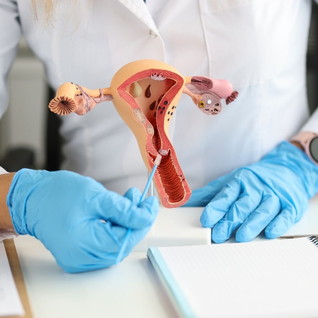 10 Excelentes Clínicas de Ginecologia em Fortaleza CE