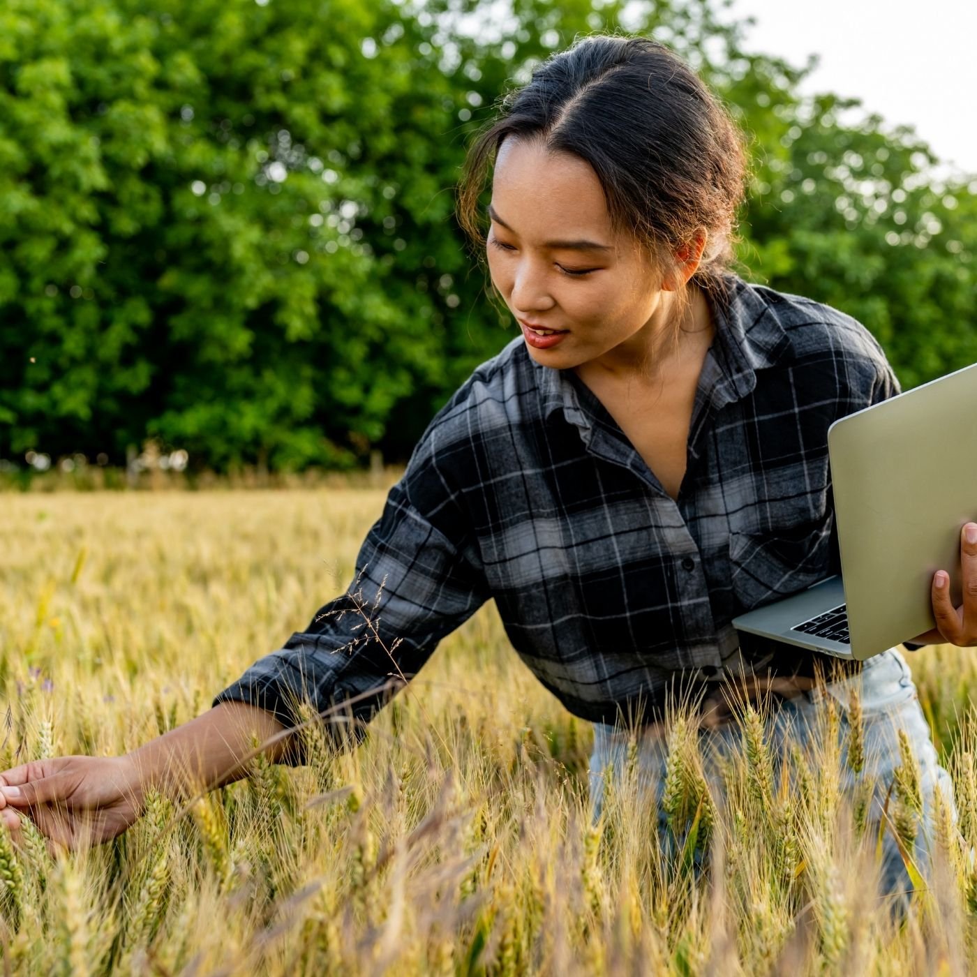 Top 10 Bairros em Cuiabá MT para Abrir um Hub de Inovação em Agrotech (Radar de Viabilidade)