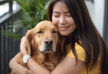 Top 10 Bairros em Curitiba para Abrir uma Clínica Veterinária de Especialidades e Hospital 24h (Radar de Viabilidade)